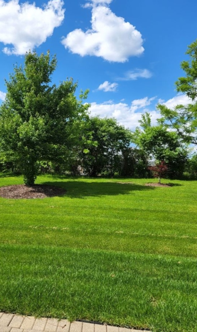 1094 Delta Drive #1094, Elgin, IL 60123