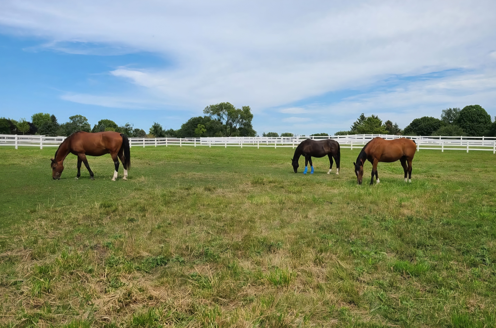 St. Charles, IL 60175