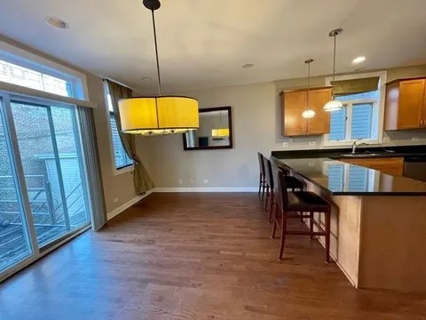 1914 S Morgan Street, Chicago, IL 60608