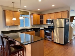 1914 S Morgan Street, Chicago, IL 60608