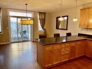 1914 S Morgan Street, Chicago, IL 60608