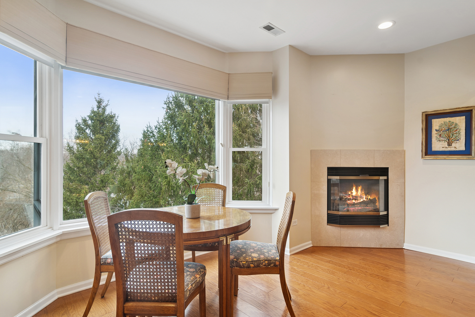 20 Trafalgar Square #401, Lincolnshire, IL 60069