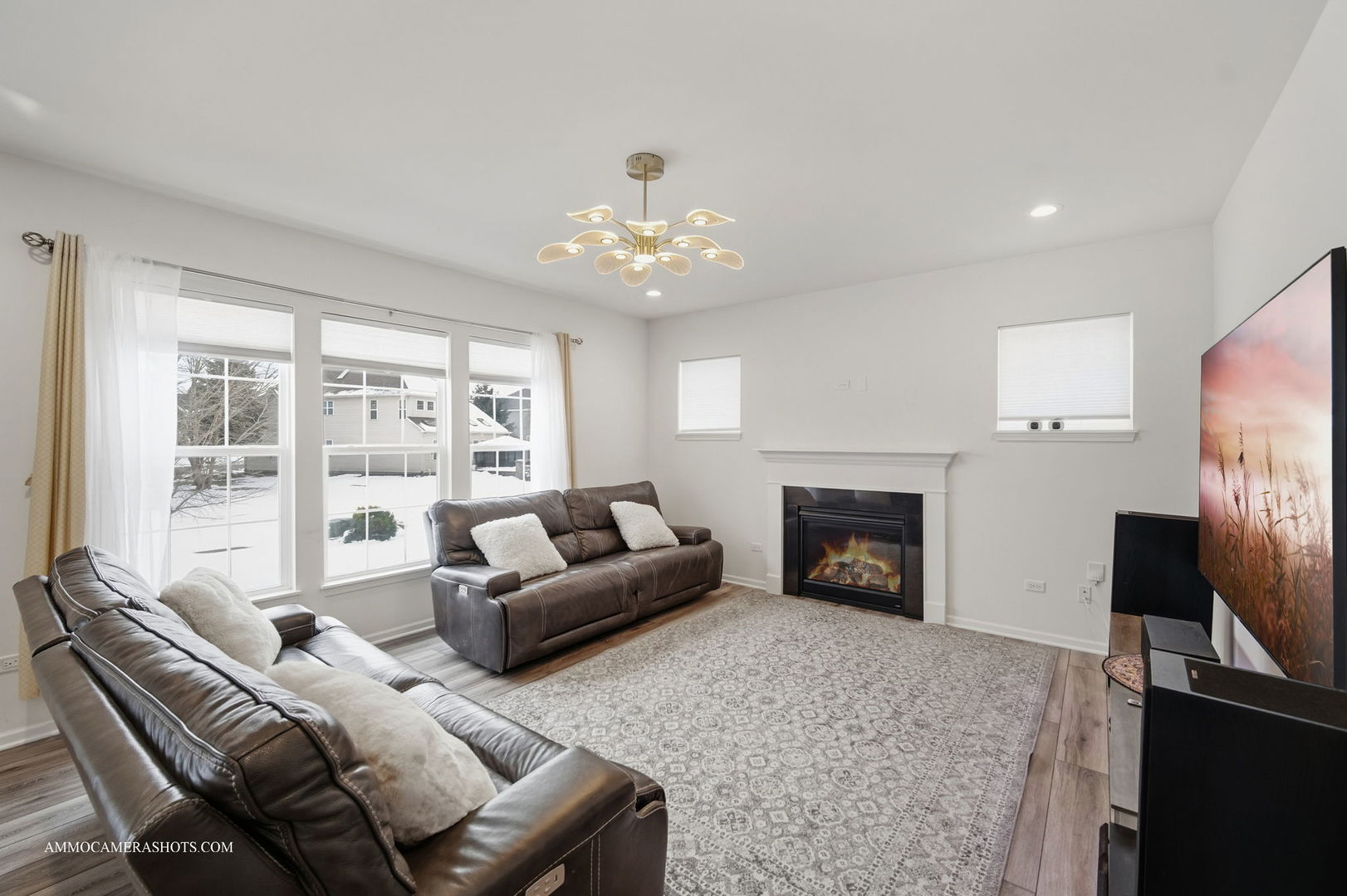 26305 W Milestone Drive, Plainfield, IL 60585