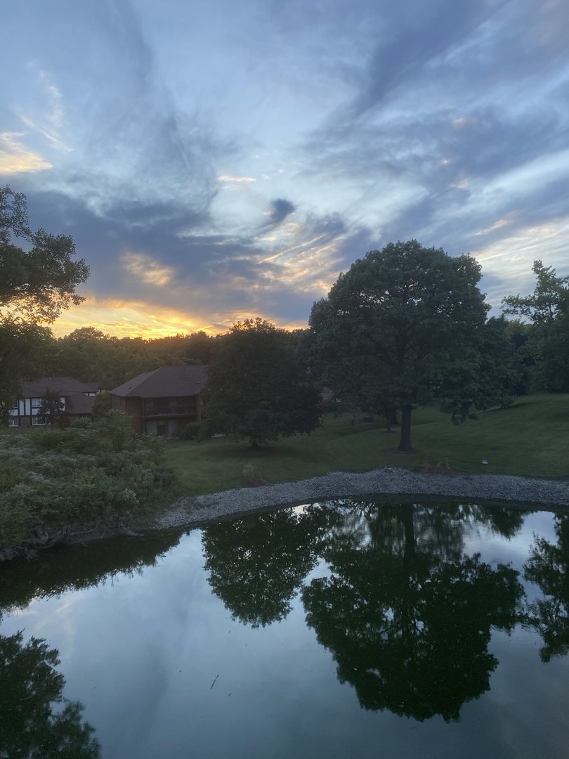6820 Joliet Road #11, Indian Head Park, IL 60525