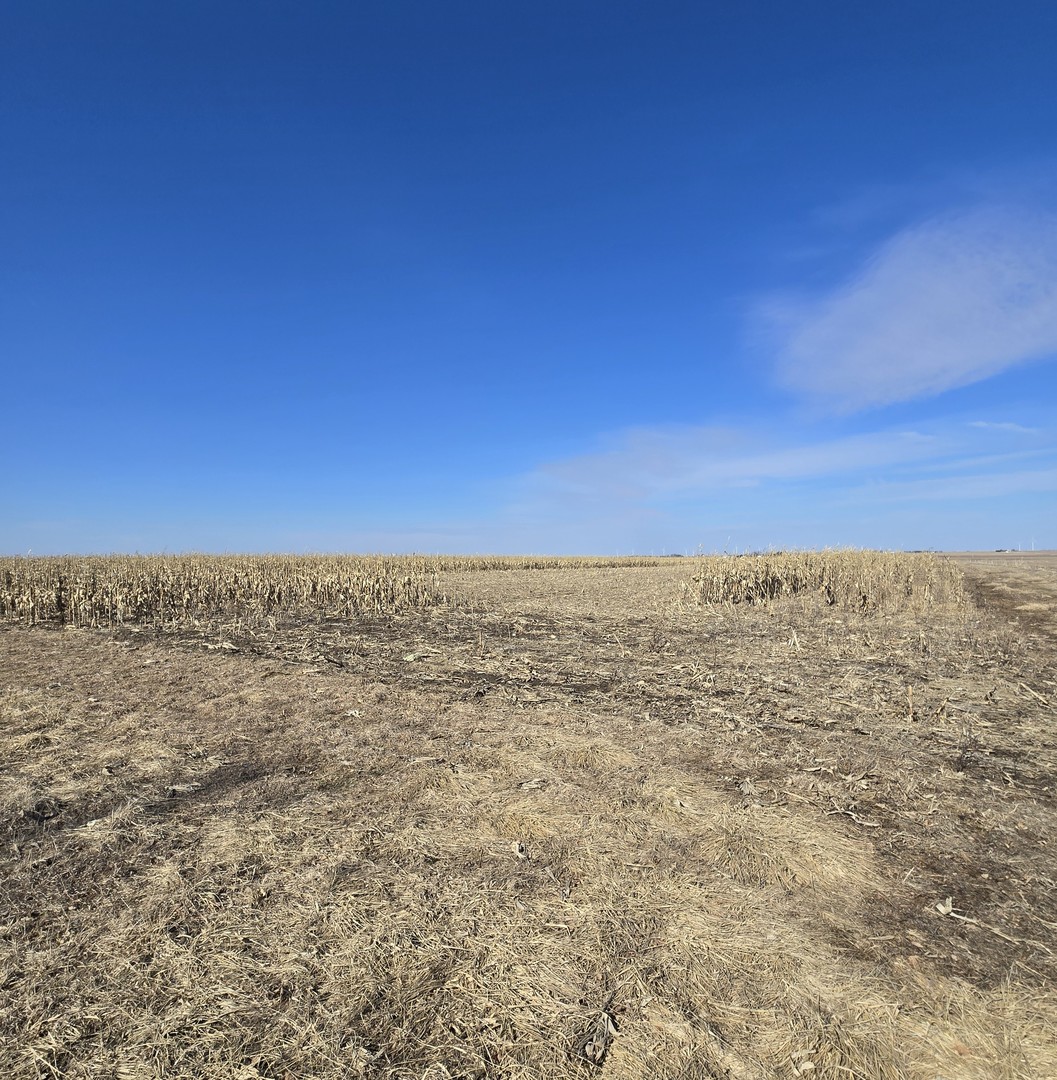 4.86 Acre Plot Off Country Rd 900 North, Leroy, IL 61752