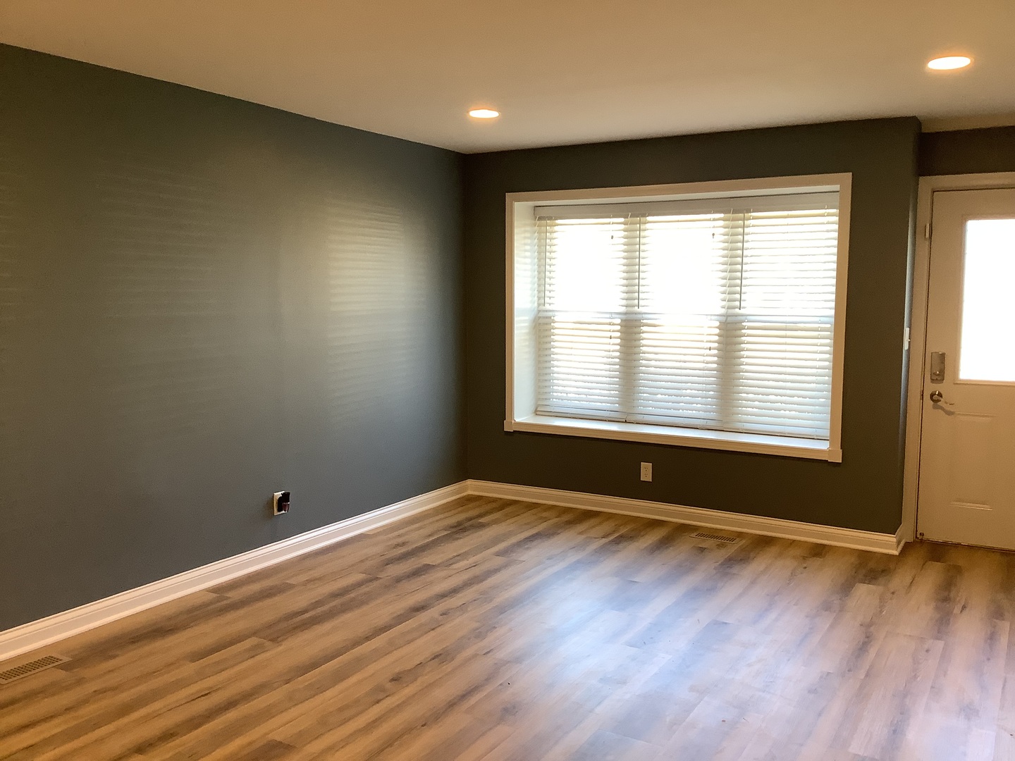 1133 ADELIA Street, Downers Grove, IL 60516