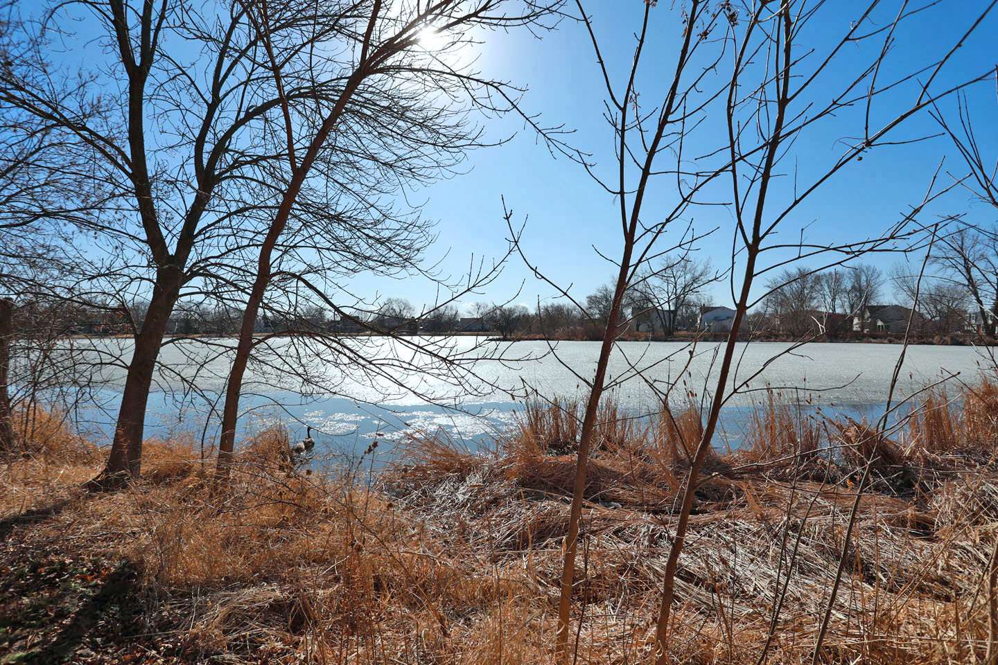 511 Eagle Court #0, Schaumburg, IL 60194