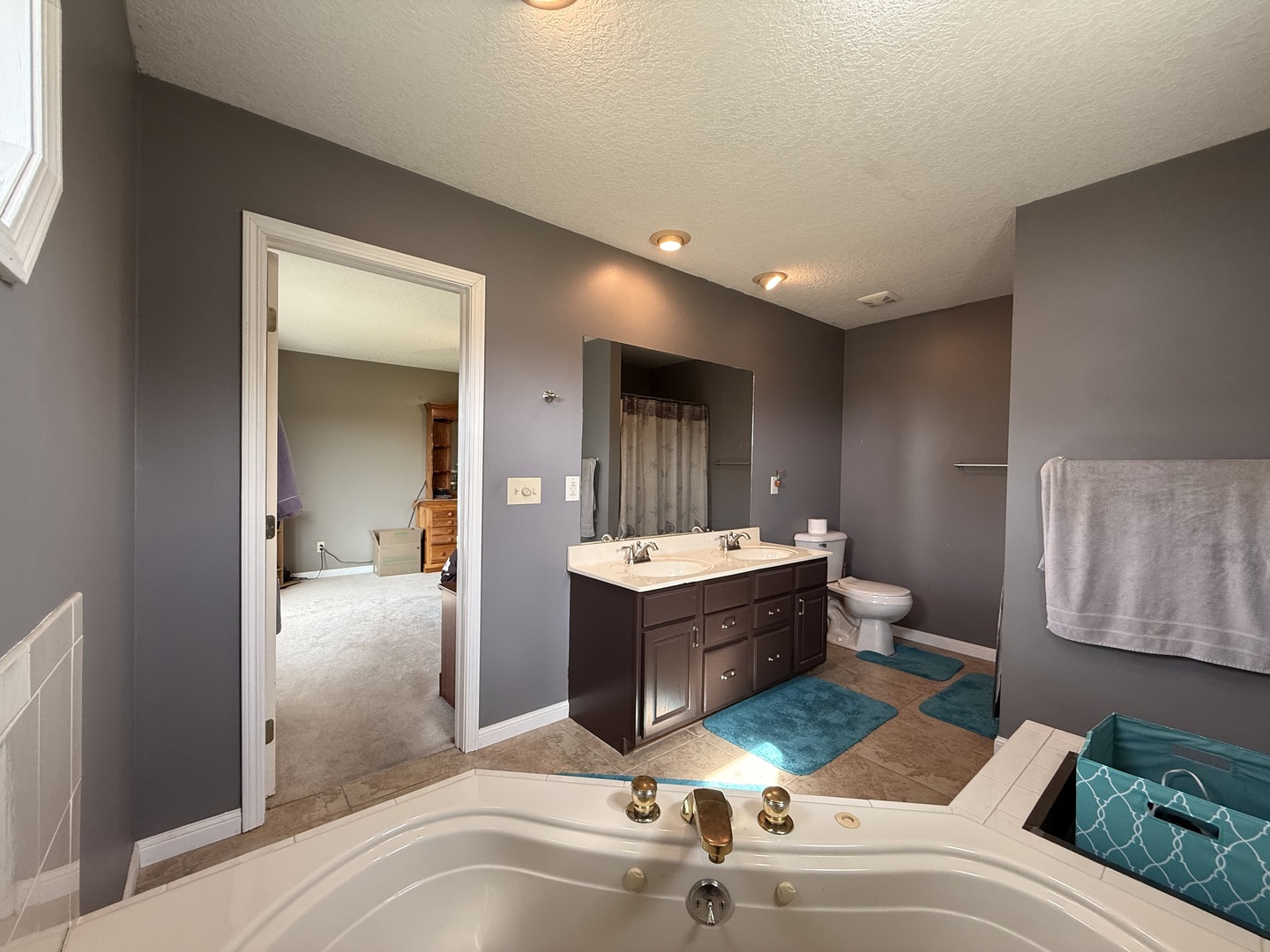 14133 Rebecca Lane, Clinton, IL 61727