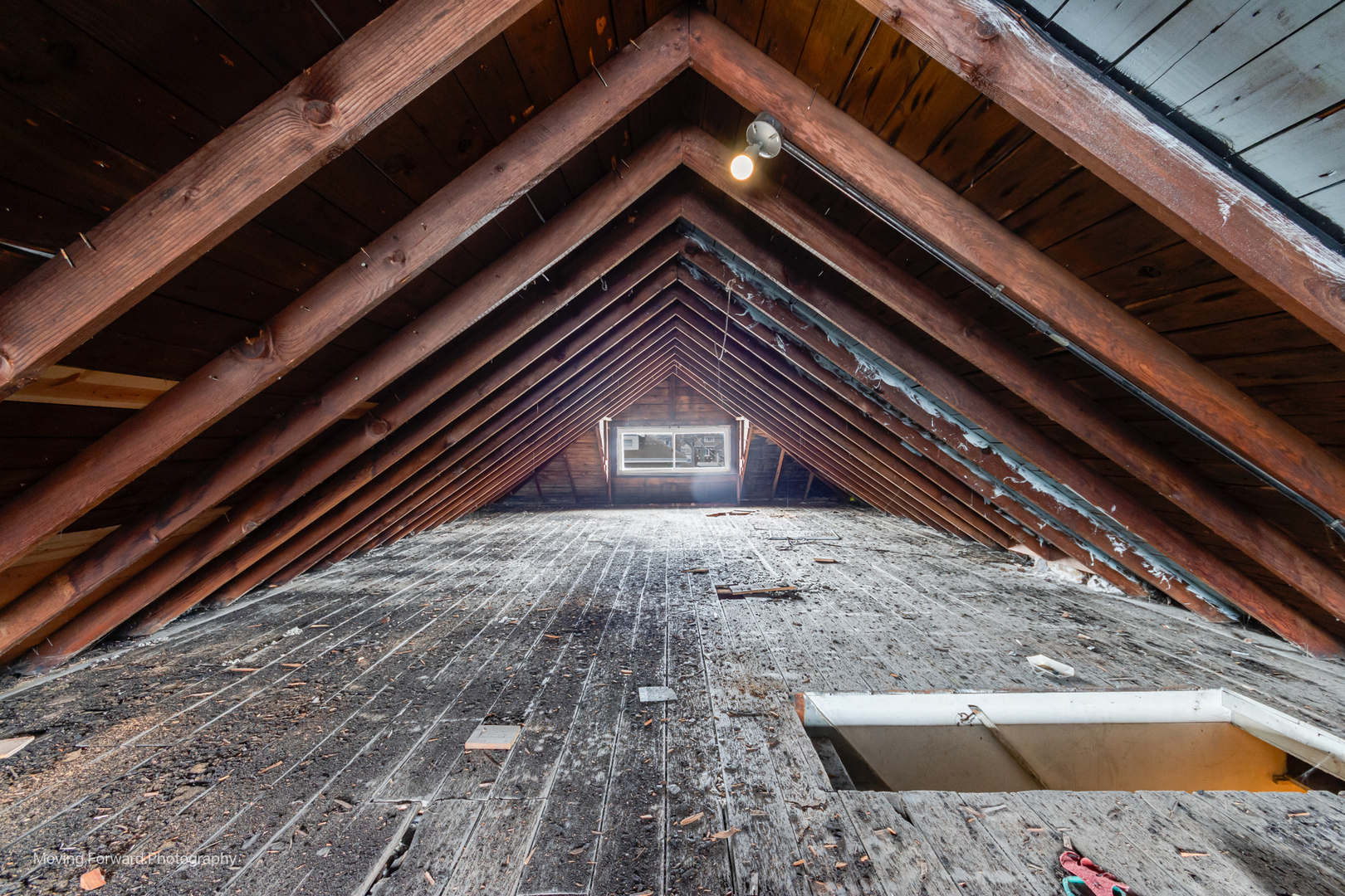 8441 S Aberdeen Street, Chicago, IL 60620