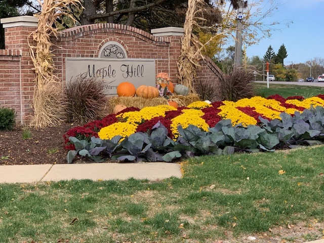 30W038 Willow Lane #D, Warrenville, IL 60555