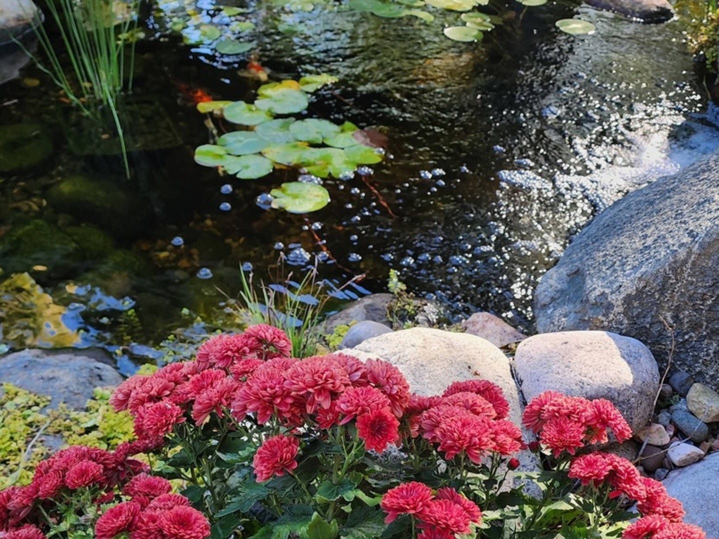 14632 S Kearns Drive, Plainfield, IL 60544