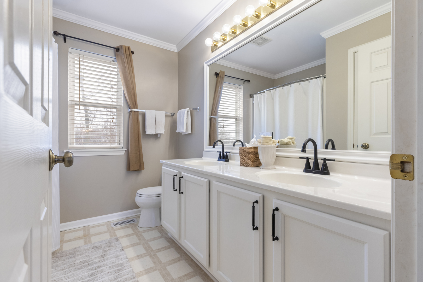 441 Bald Eagle Court, Grayslake, IL 60030