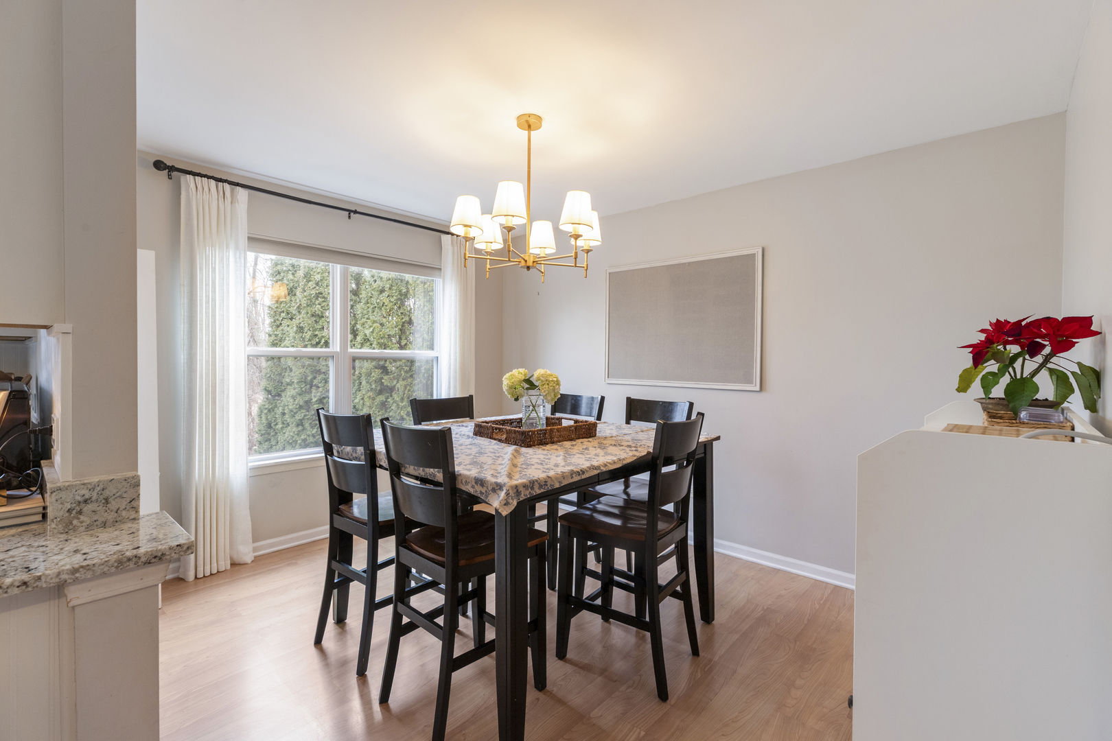 441 Bald Eagle Court, Grayslake, IL 60030