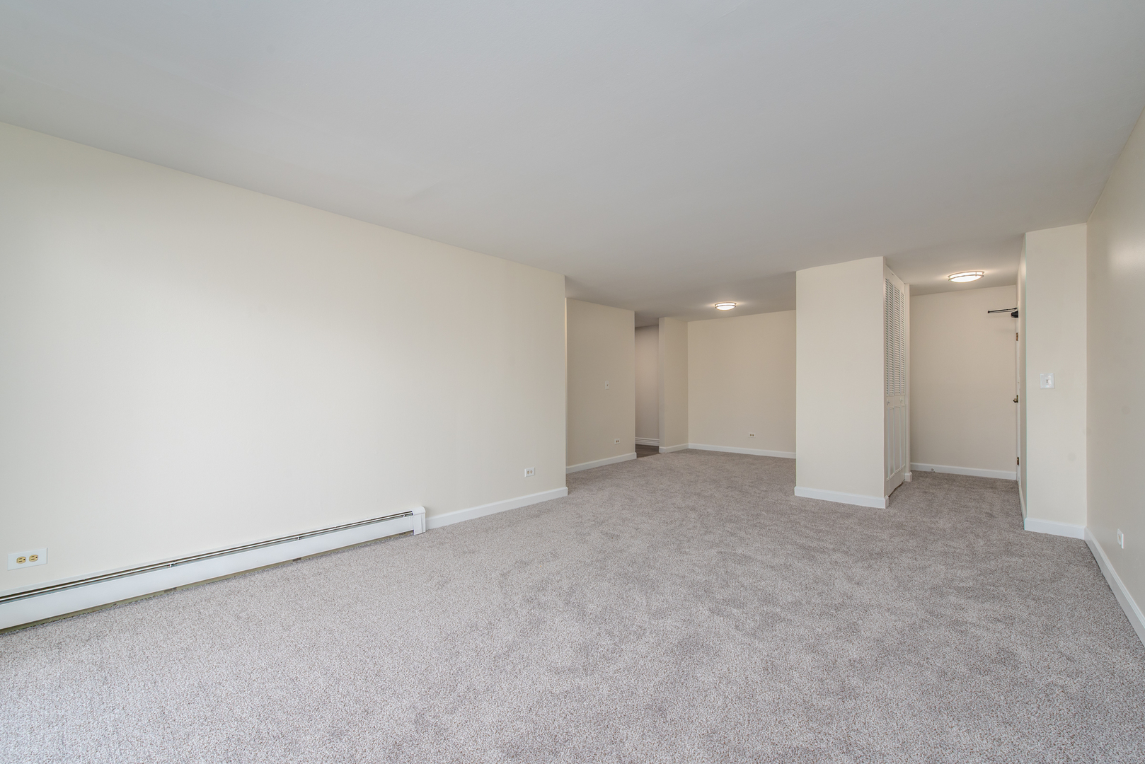 1473 N Winslowe Drive #203, Palatine, IL 60074