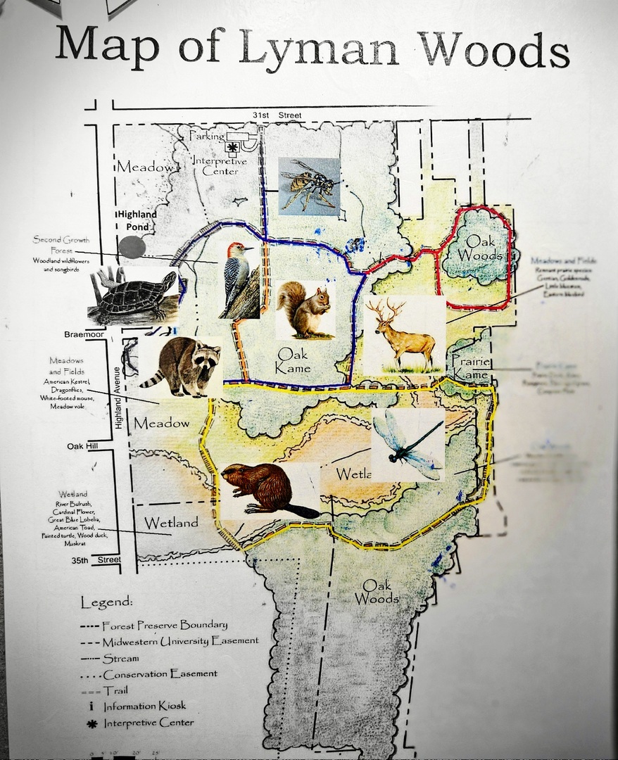 3700 Woodland Lane, Downers Grove, IL 60515