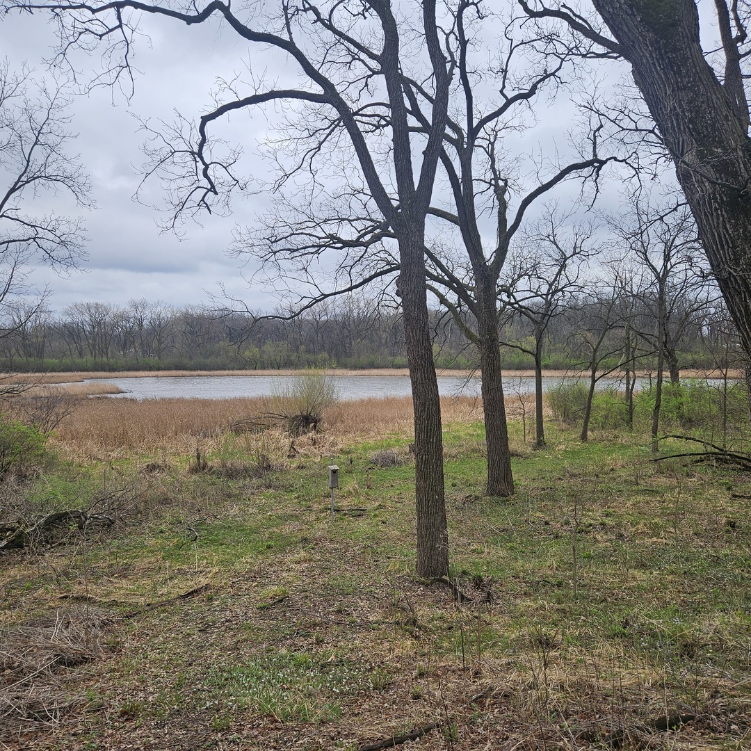 3700 Woodland Lane, Downers Grove, IL 60515