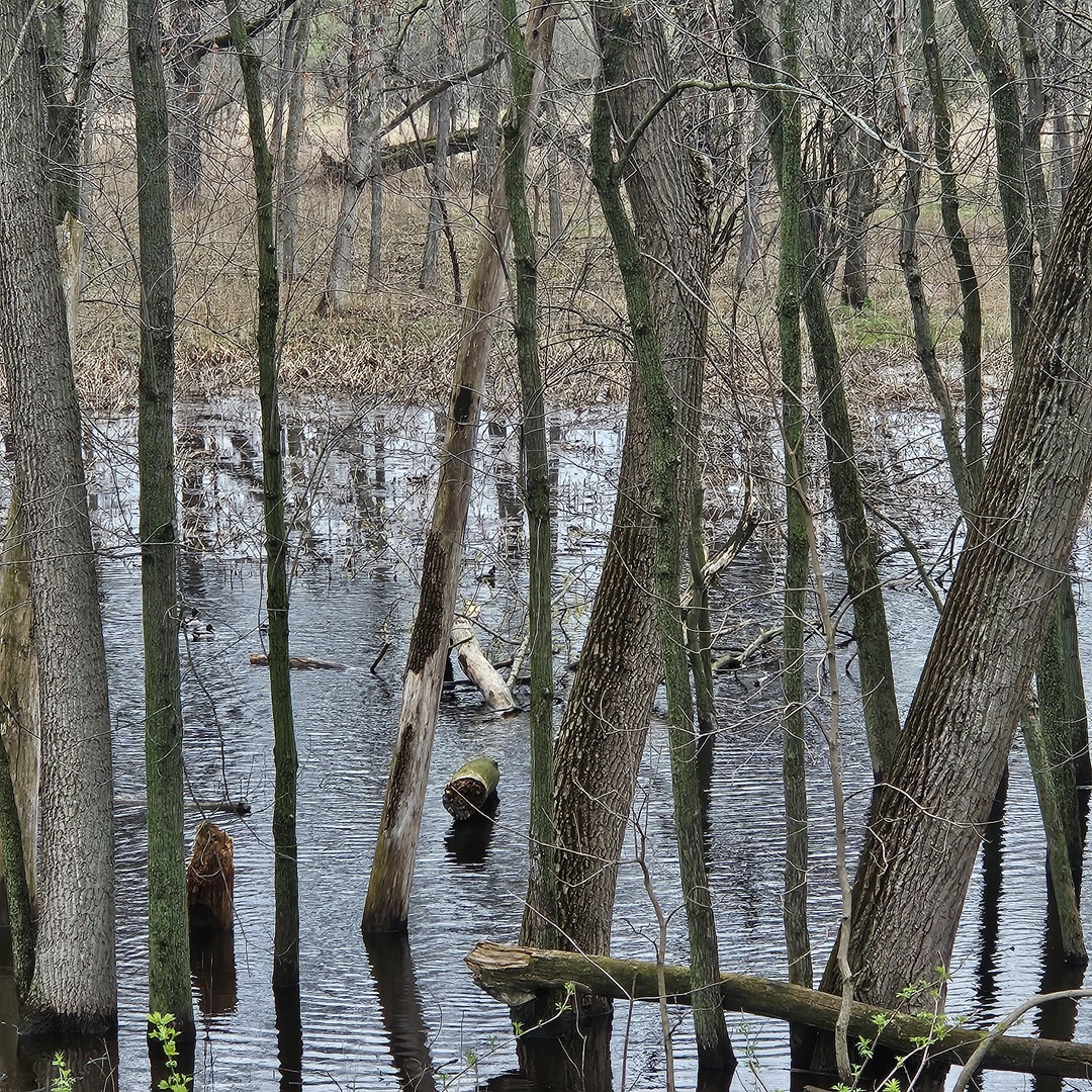 3700 Woodland Lane, Downers Grove, IL 60515