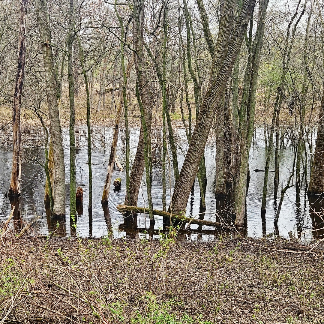 3700 Woodland Lane, Downers Grove, IL 60515