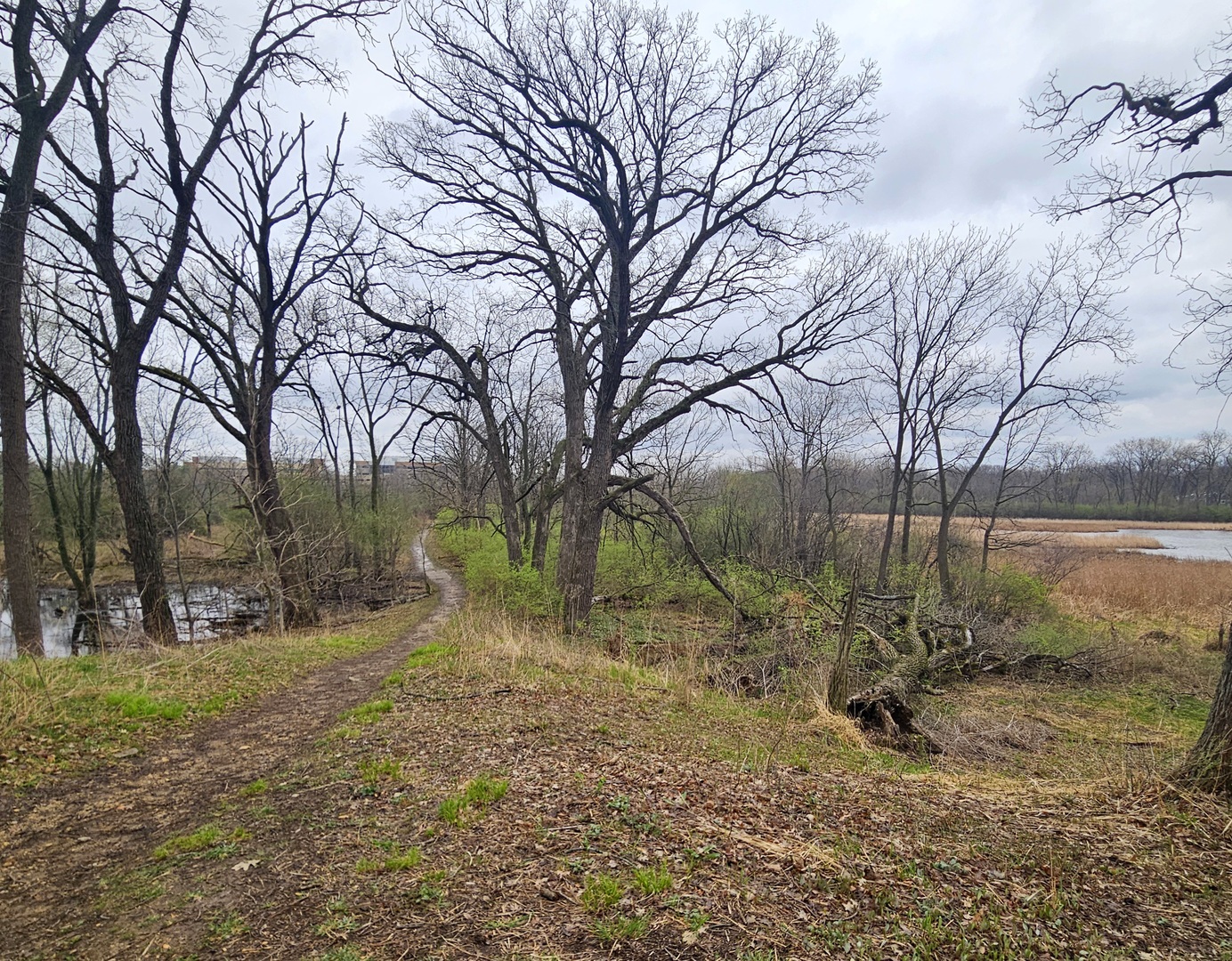 3700 Woodland Lane, Downers Grove, IL 60515