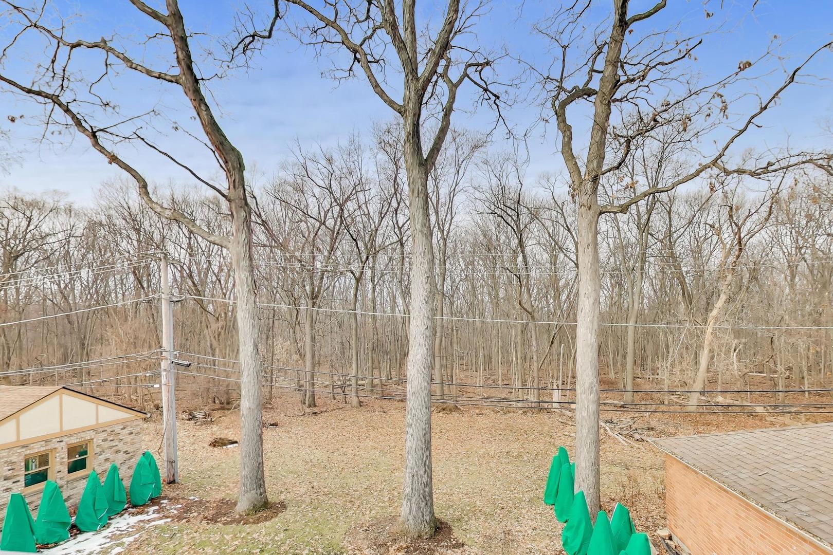 1234 S Western Avenue, Park Ridge, IL 60068