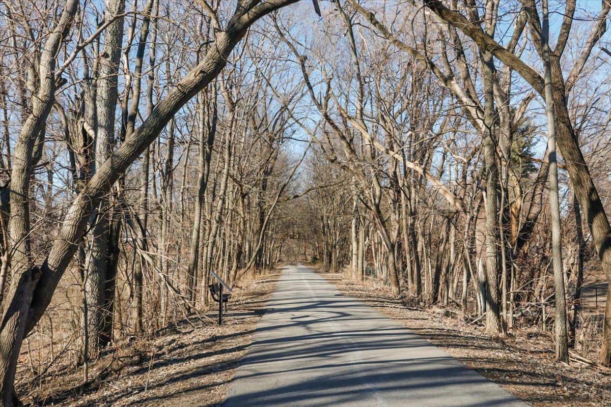 14 Broadway Place, Normal, IL 61761