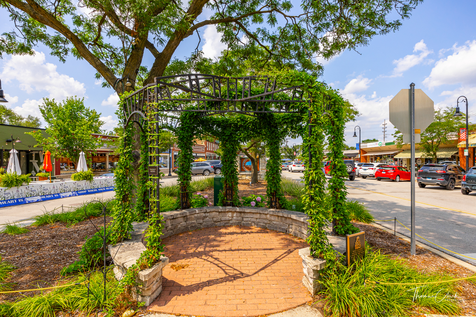 423 Park Avenue #C, Clarendon Hills, IL 60514