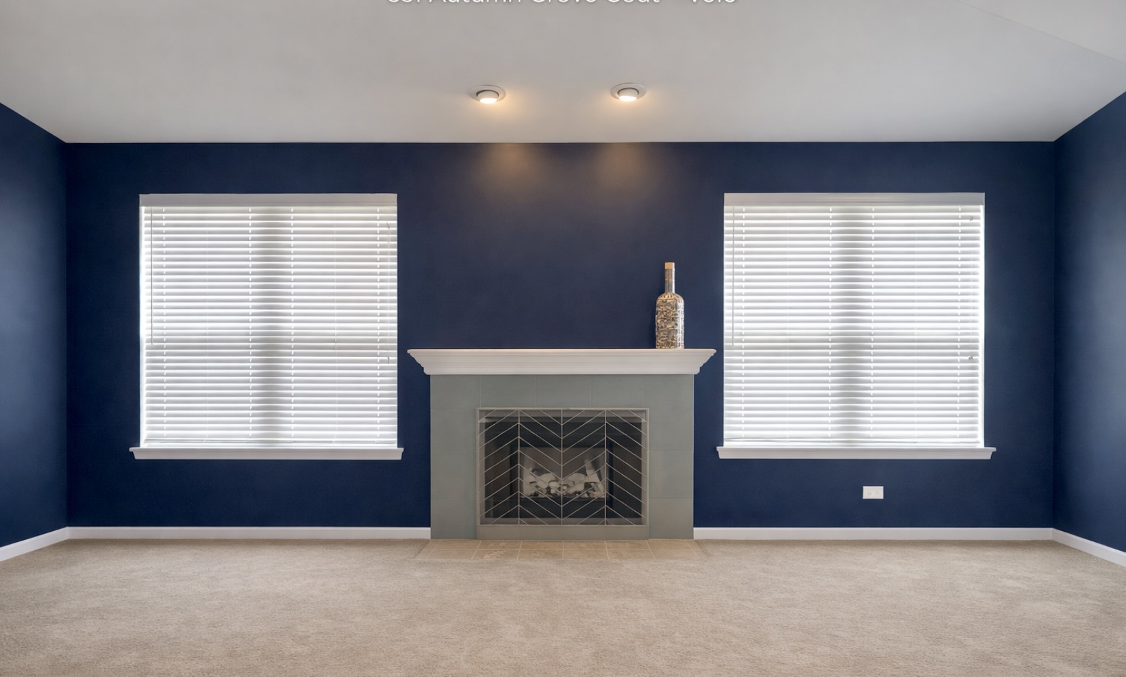 851 Autumn Grove Court, Round Lake, IL 60073