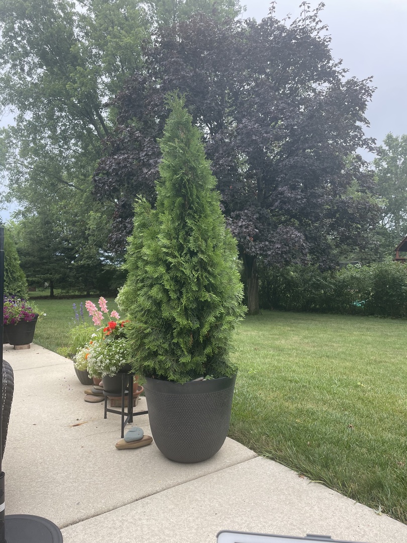 480 Nebraska B Court, Frankfort, IL 60423