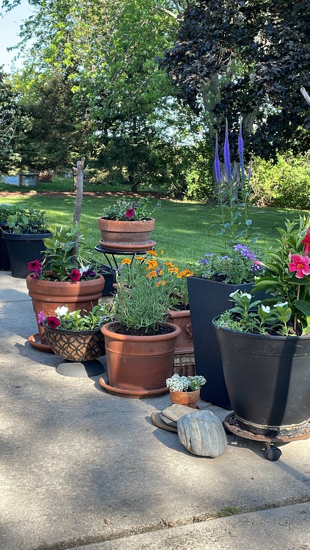 480 Nebraska B Court, Frankfort, IL 60423