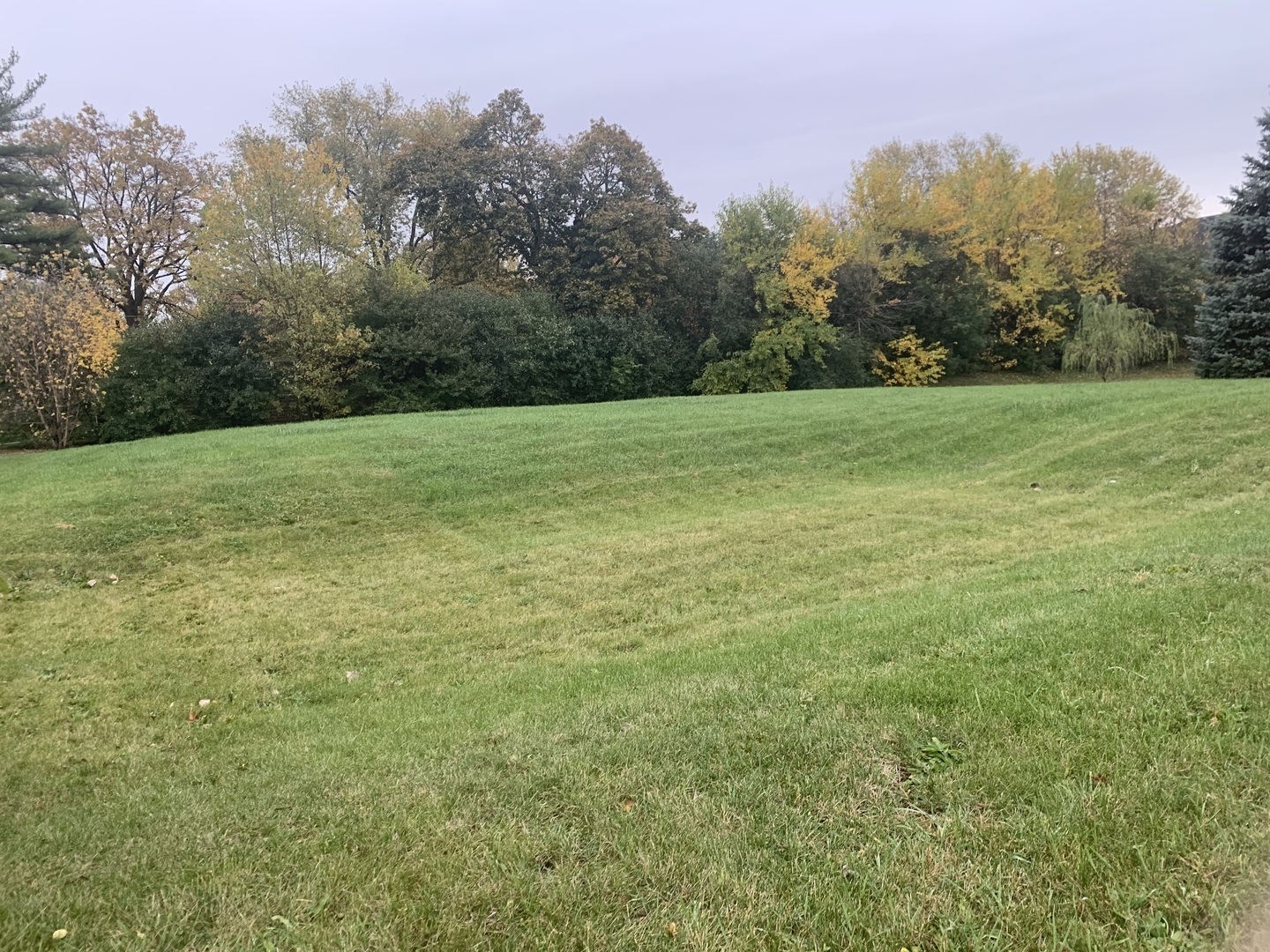 335 W 63rd Street, Willowbrook, IL 60527