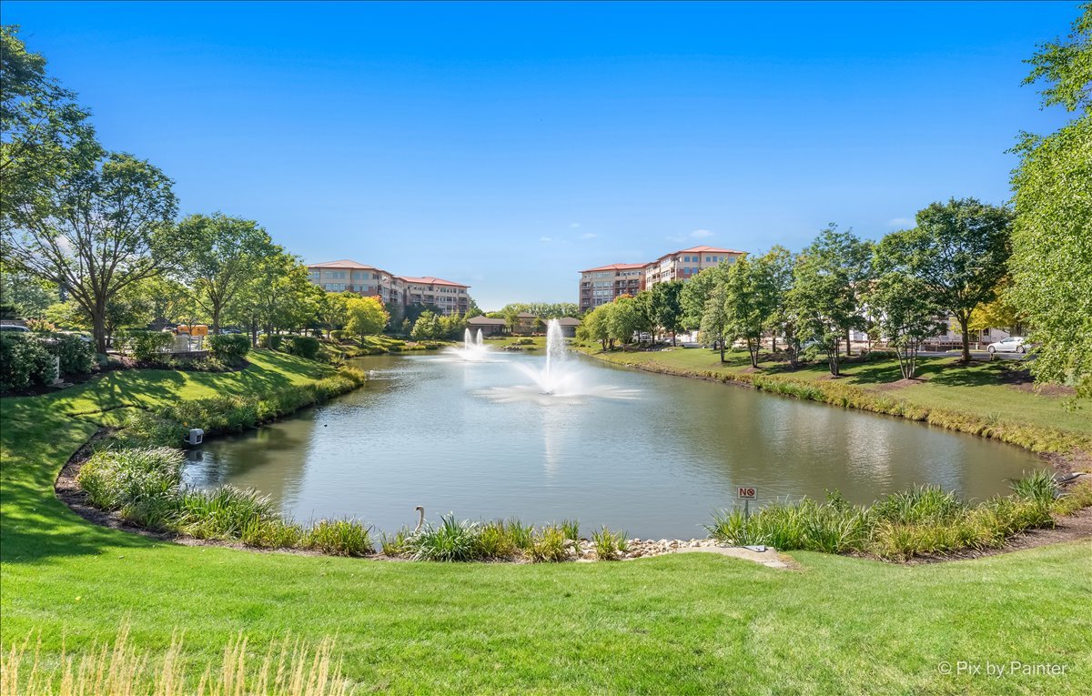 45 Prairie Park Drive #501, Wheeling, IL 60090