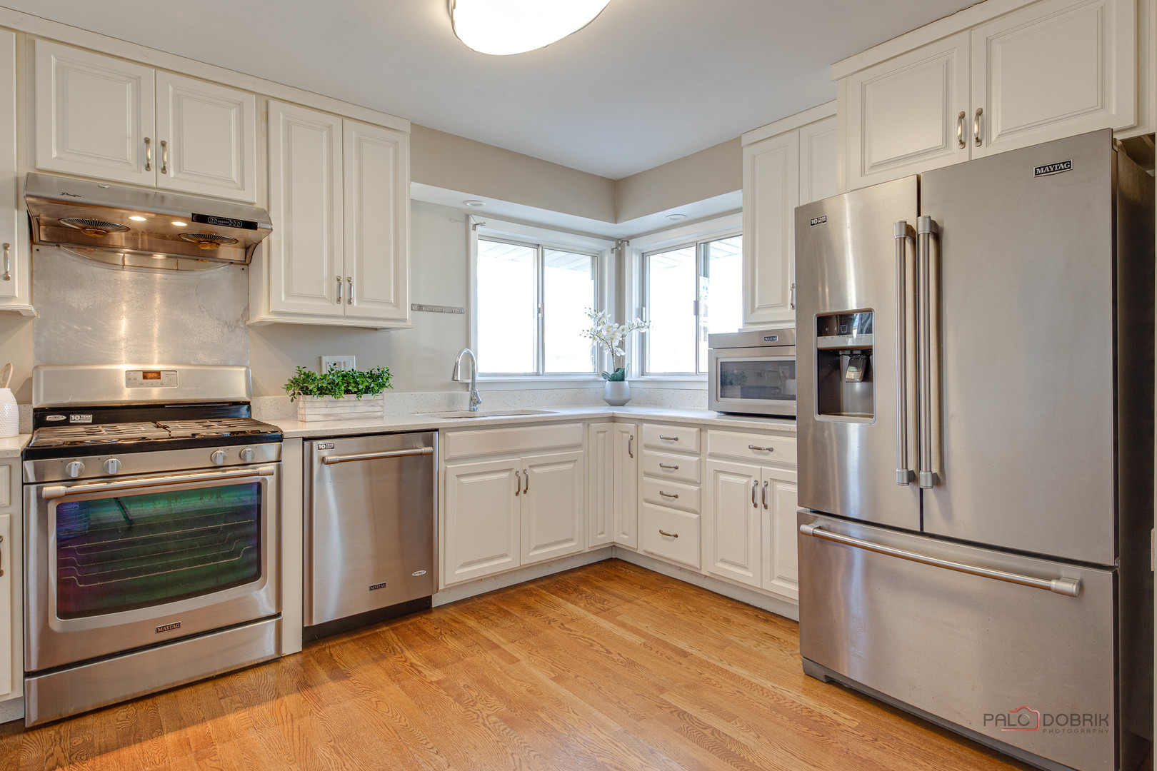 8532 N Oleander Avenue, Niles, IL 60714