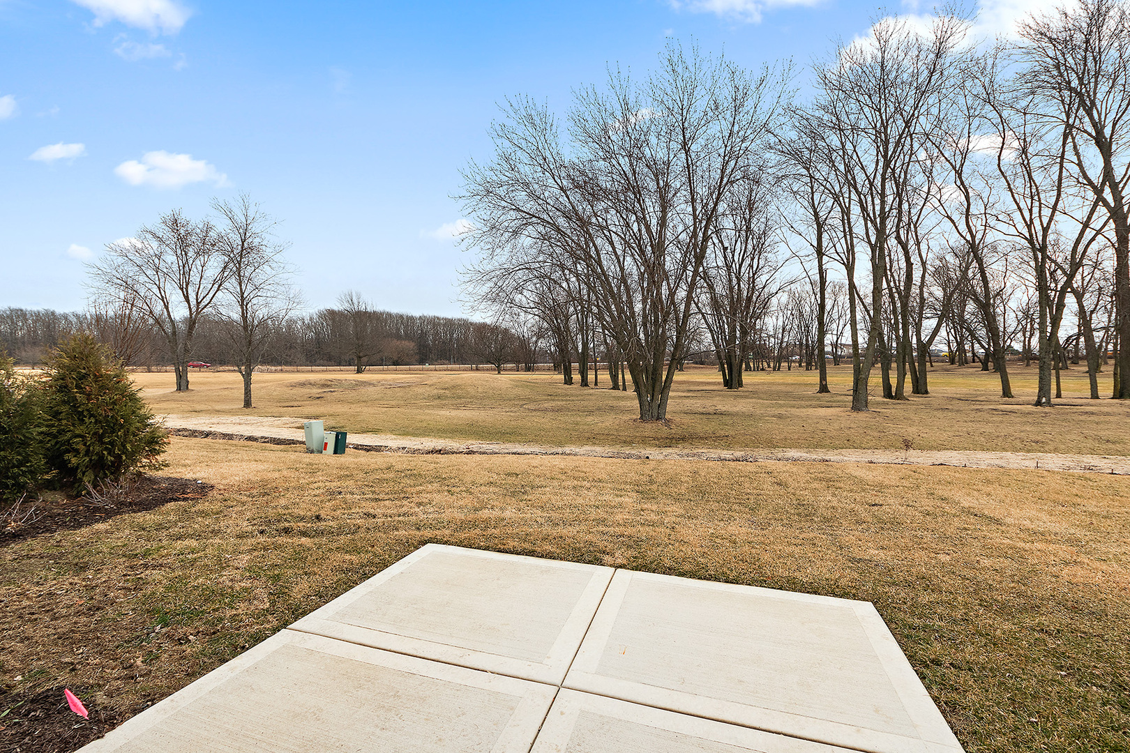 46 Olympus Drive, Tinley Park, IL 60477