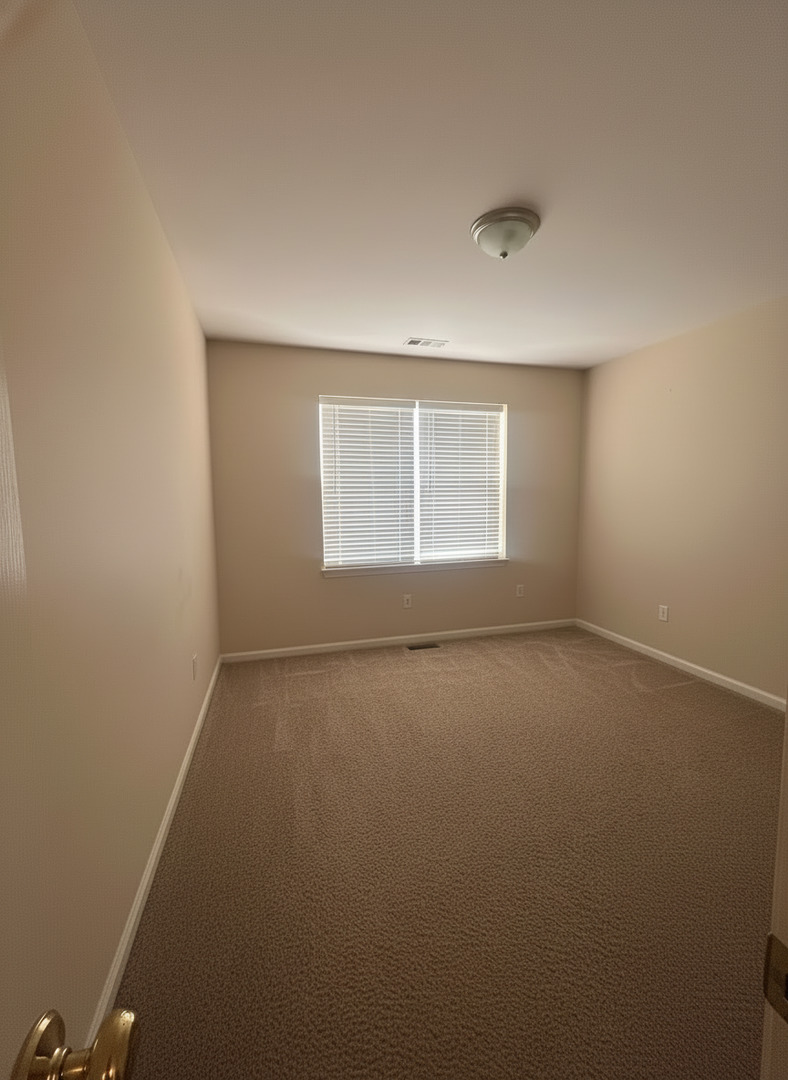 2925 Pleasant Plains Drive #2925, St. Charles, IL 60175