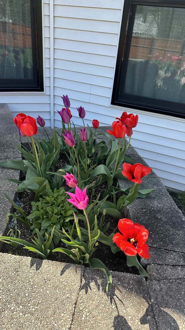 1948 Barrington Court, Aurora, IL 60503