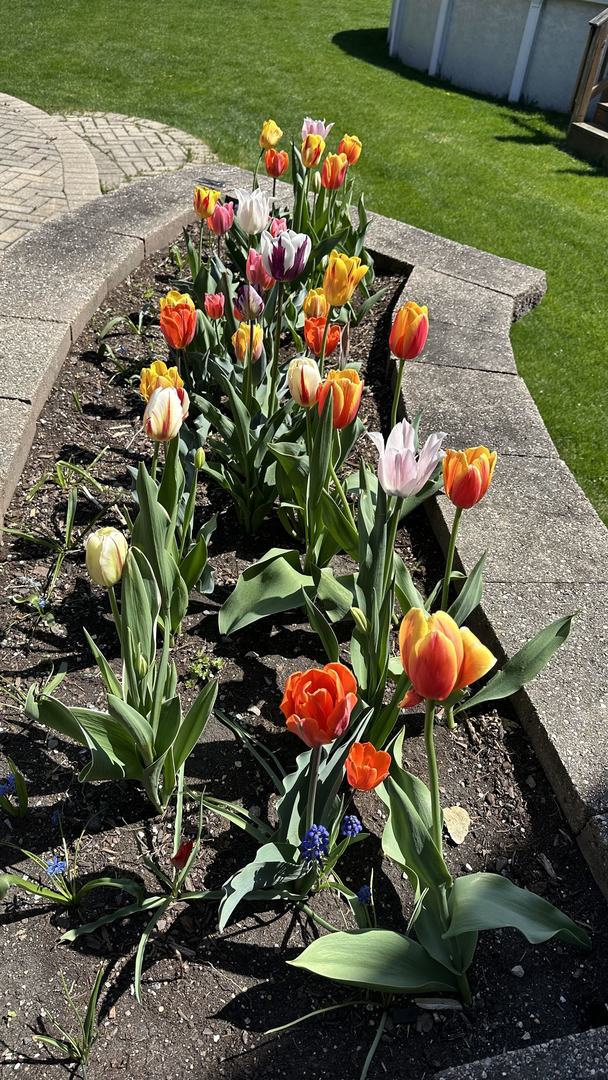 1948 Barrington Court, Aurora, IL 60503