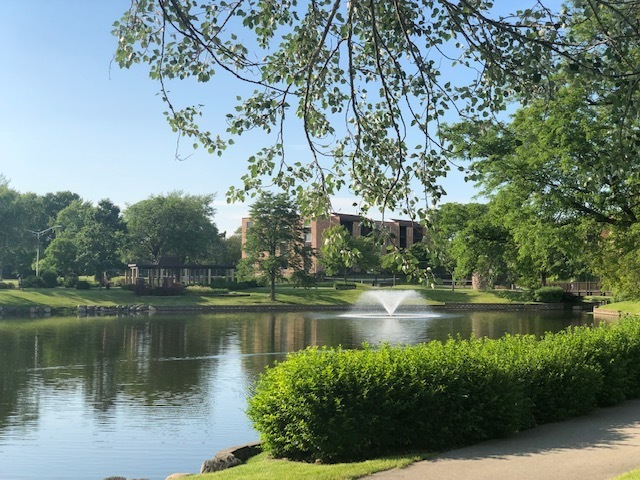 725 W Huntington Commons Road #401, Mount Prospect, IL 60056