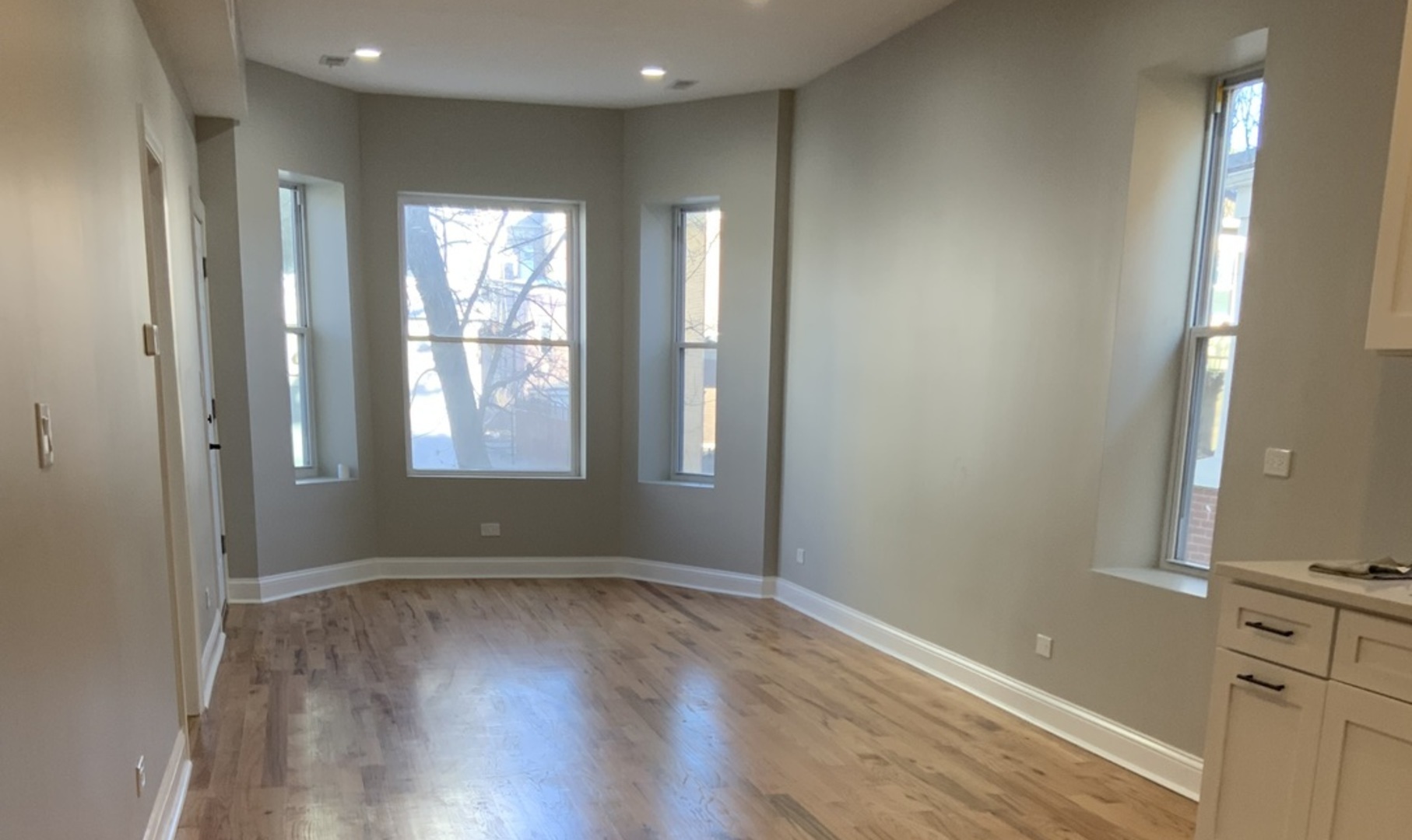 1428 S Hamlin Avenue, Chicago, IL 60623