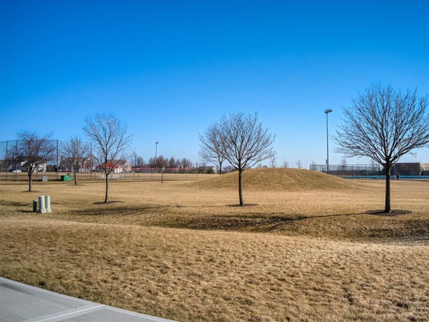 2154 Tremont Avenue, Yorkville, IL 60560