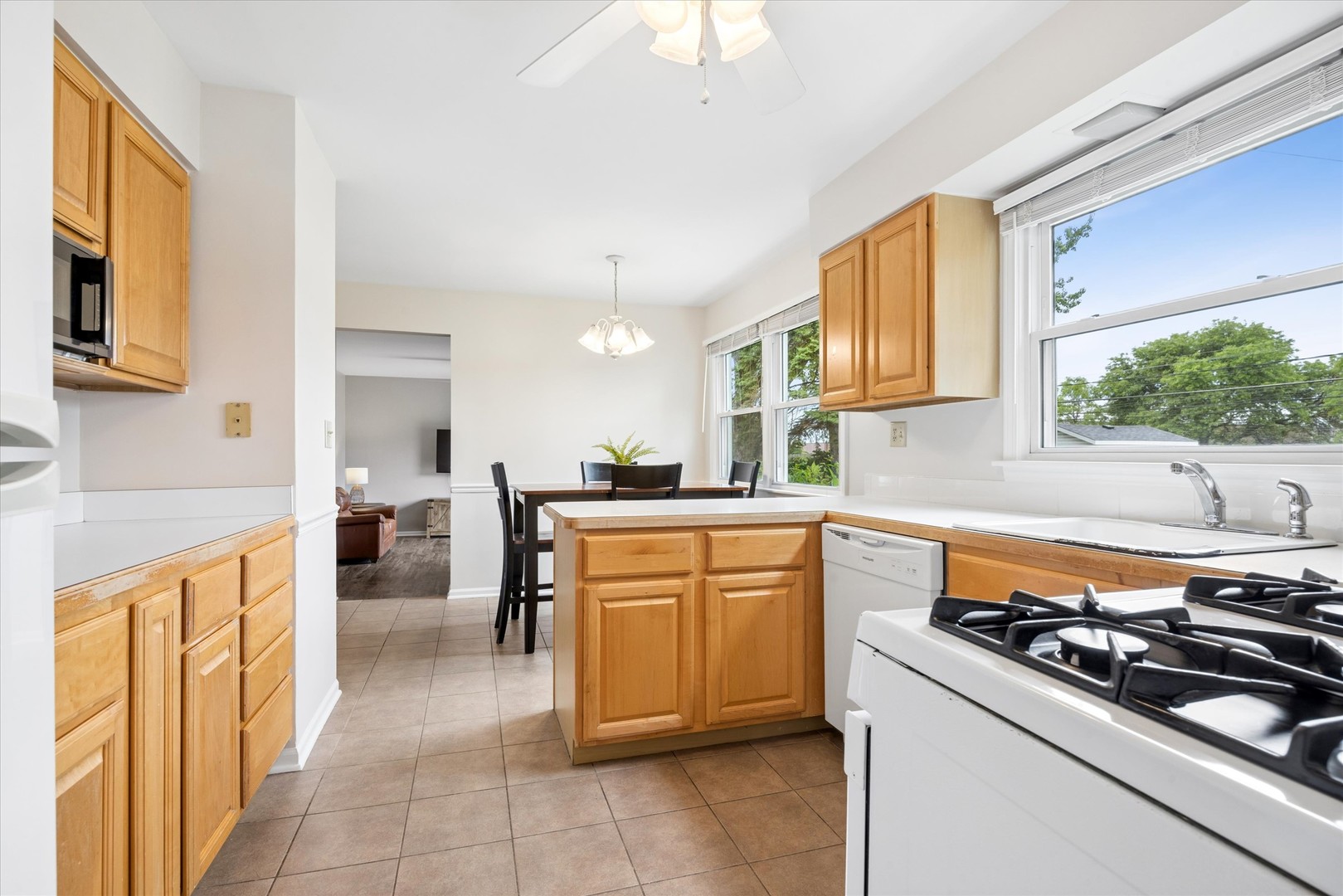 919 E Ironwood Drive, Mount Prospect, IL 60056