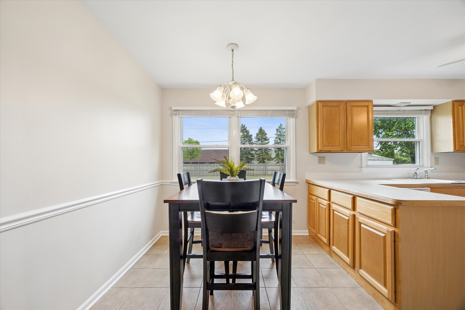 919 E Ironwood Drive, Mount Prospect, IL 60056