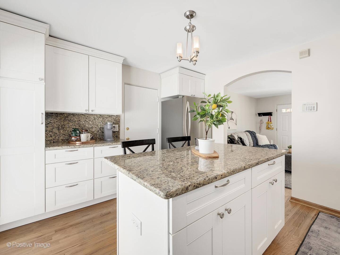 1020 Newberry Avenue, La Grange Park, IL 60526