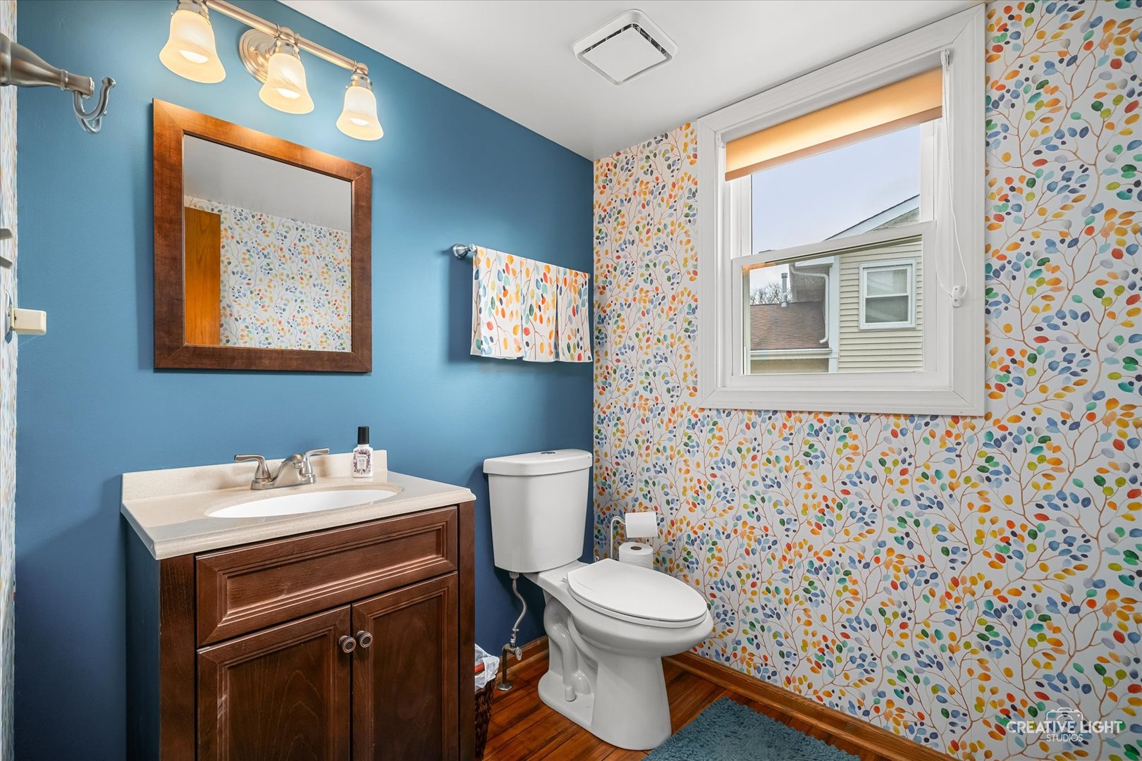 724 Small Court, Naperville, IL 60563