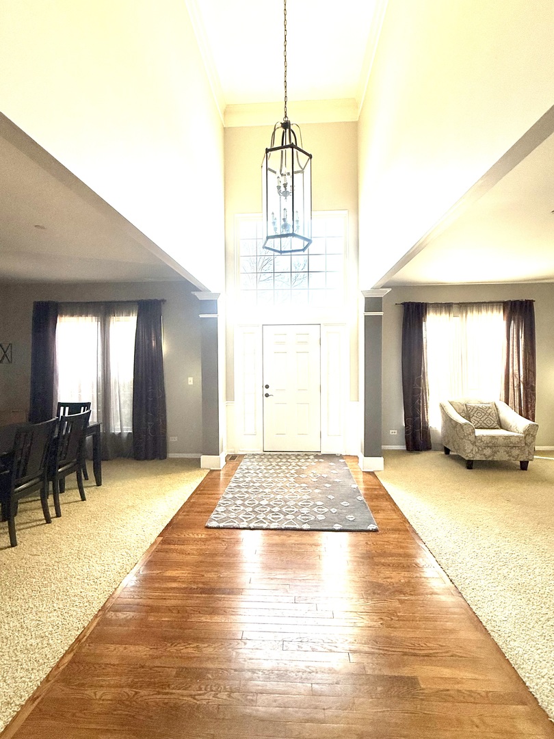 705 Blue Ridge Drive, Streamwood, IL 60107