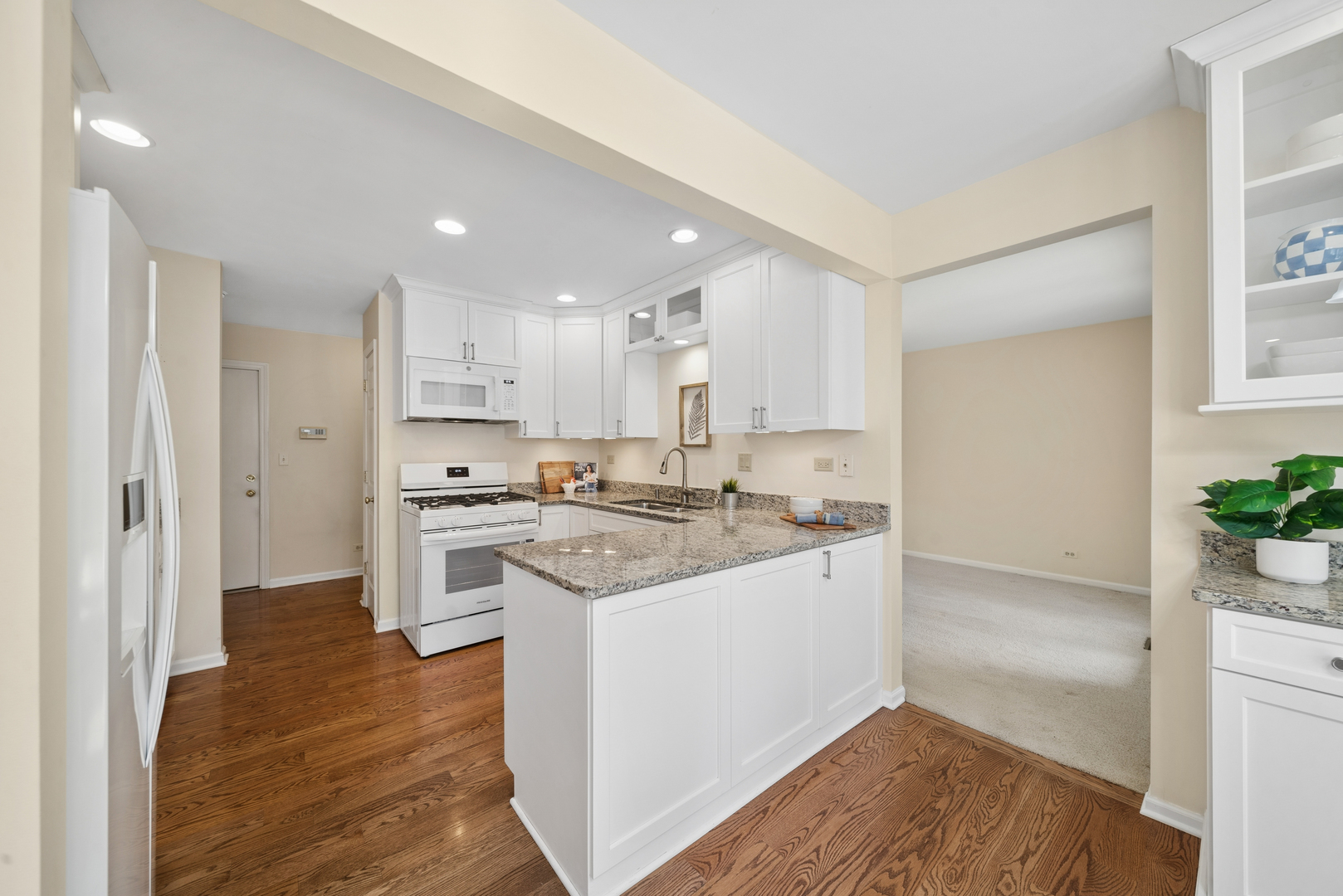 2206 Worthing Drive, Naperville, IL 60565