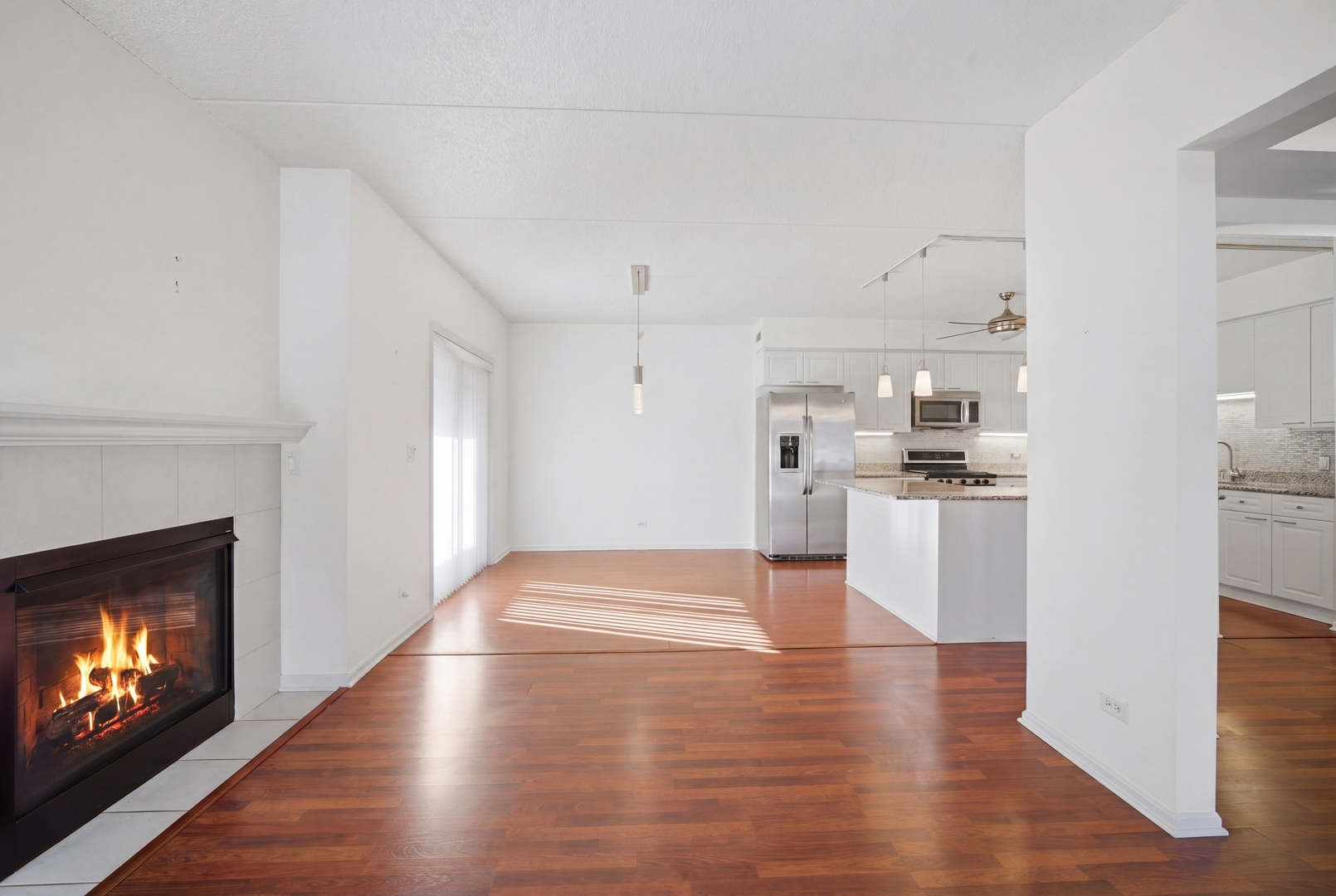 115 N Clifton Avenue #103, Park Ridge, IL 60068