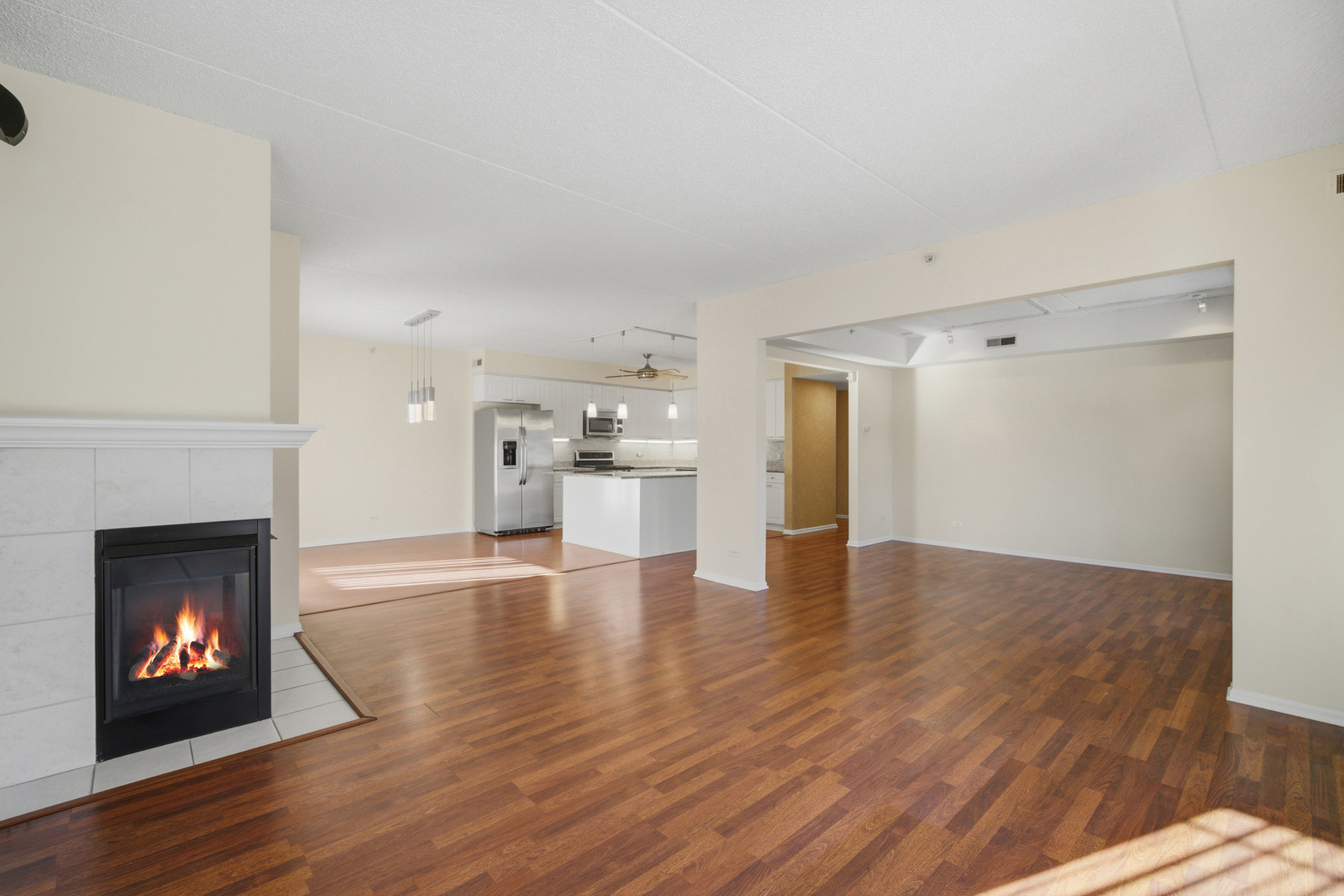 115 N Clifton Avenue #103, Park Ridge, IL 60068