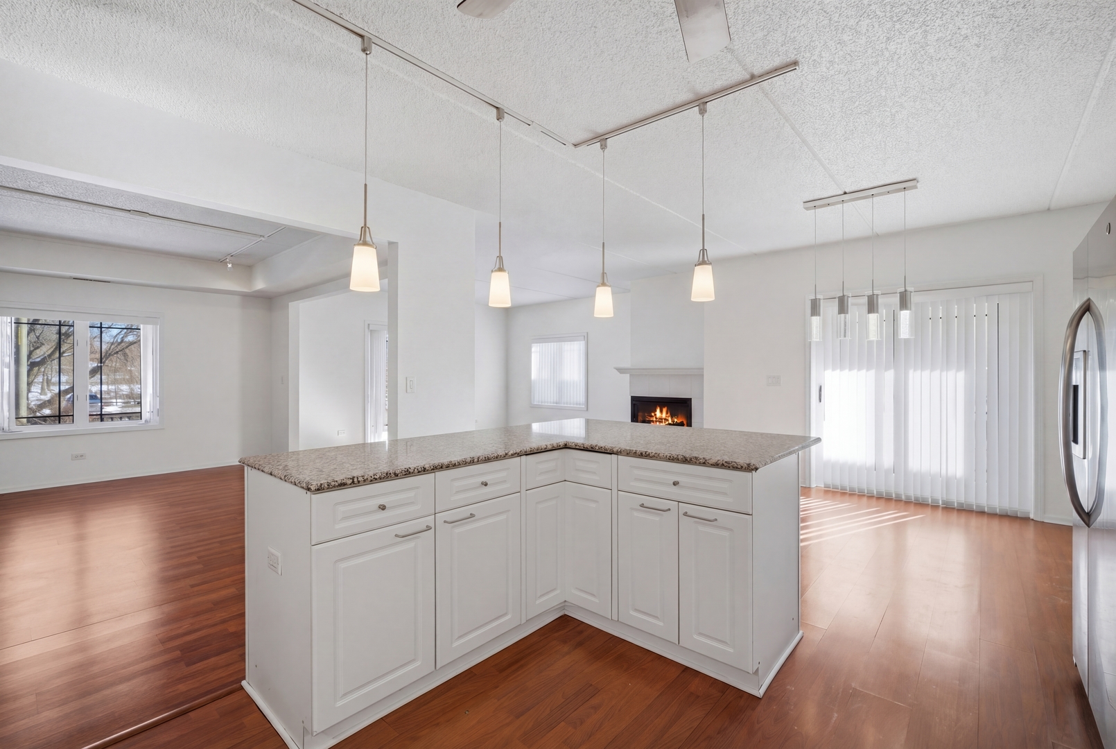 115 N Clifton Avenue #103, Park Ridge, IL 60068