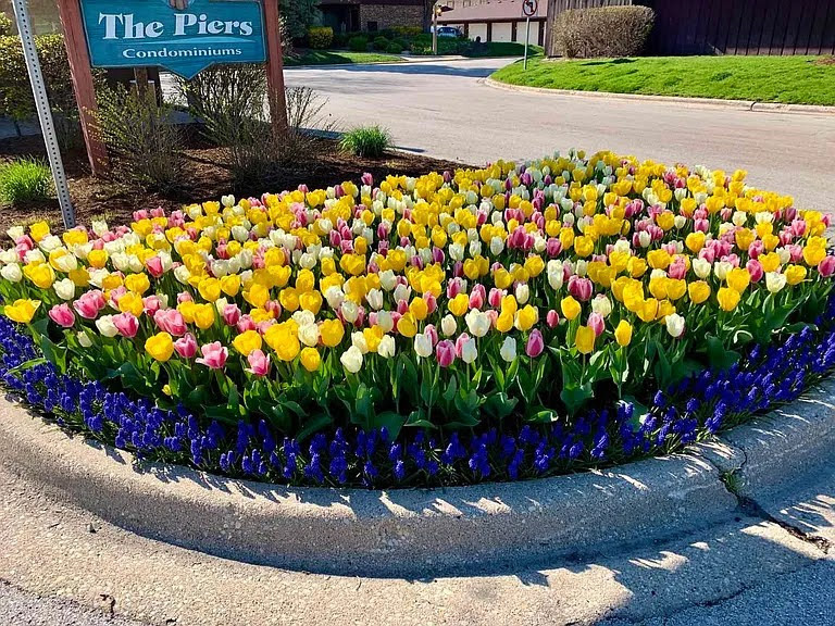 73 W Pier Drive #201, Westmont, IL 60559