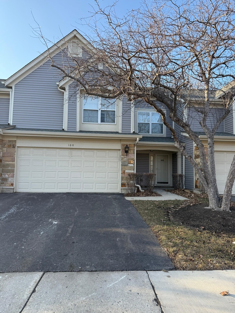 160 Crescent Lane, Schaumburg, IL 60193